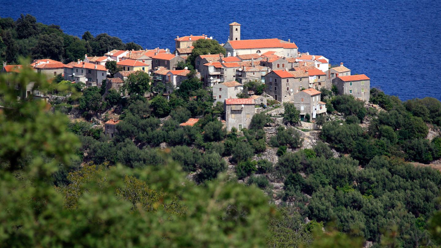 Ein Steindorf auf einem Hügel auf Cres, Olivenhaine und Steineichen am Hang zum Meer