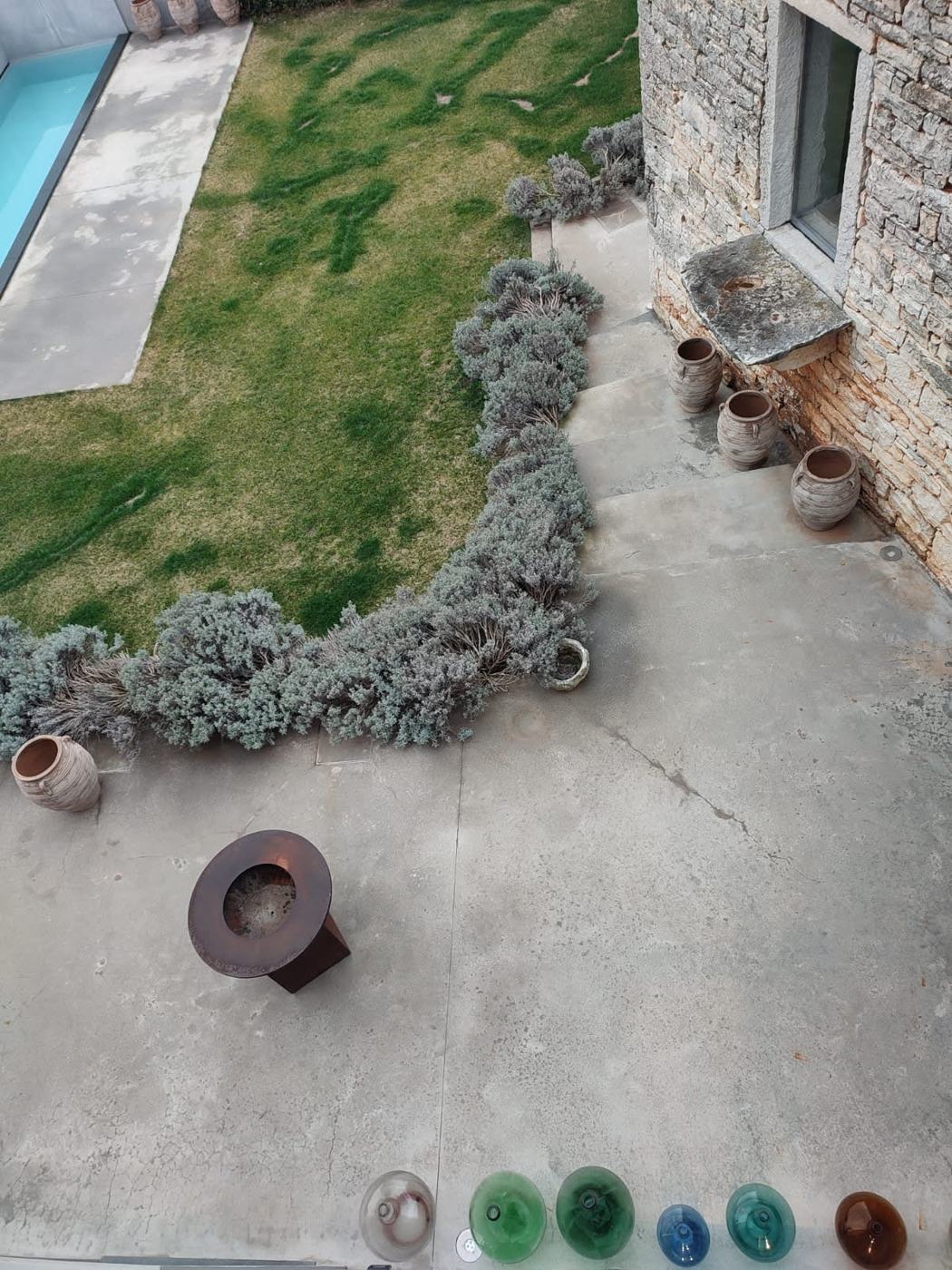 Eine geschnittene Lavendelkante entlang eines Rasens neben dem Pool, die Pflanzen grau und verholzt am Ende des Winters
